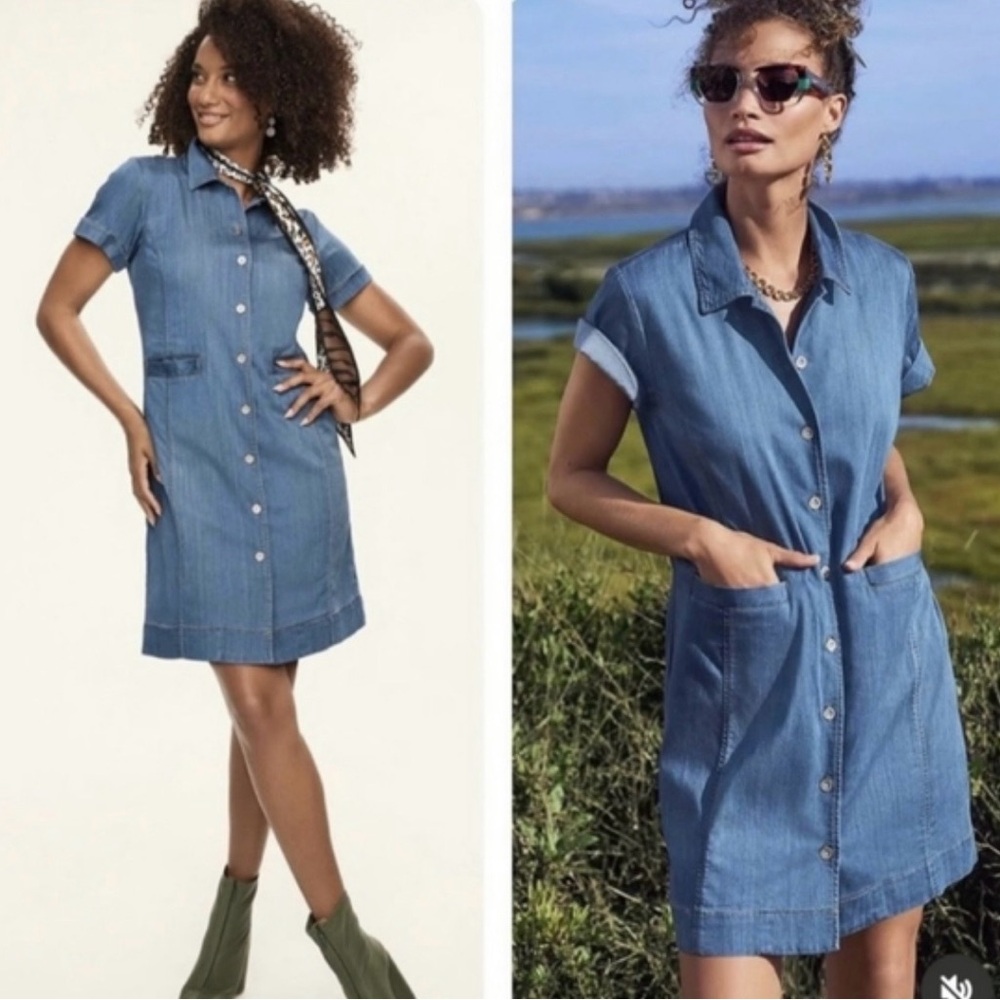 CAbi Piece of Cake Blue Denim Mini Dress